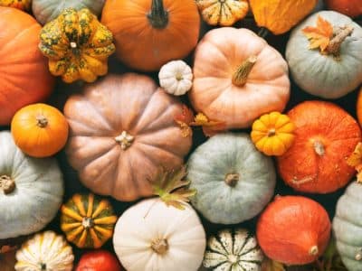 pumpkins