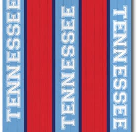 Tennessee Titans Team Stripe Wraps - Tennessee Titans Middle Stripe Cornhole Wraps - - Cornhole Worldwide